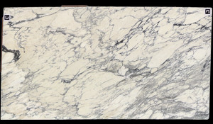 ARABESCATO CORCHIA Marble