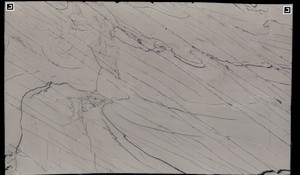 CALACATTA PREMIER Quartzite