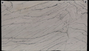 CALACATTA PREMIER Quartzite
