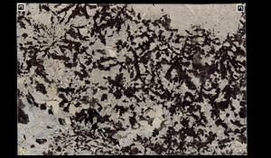 SPLENDOR WHITE Granite