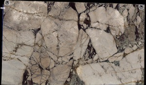 CALACATTA VIOLA Marble