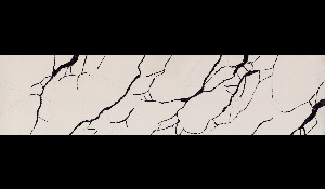 REGAL CALACATTA ZEAL Quartz