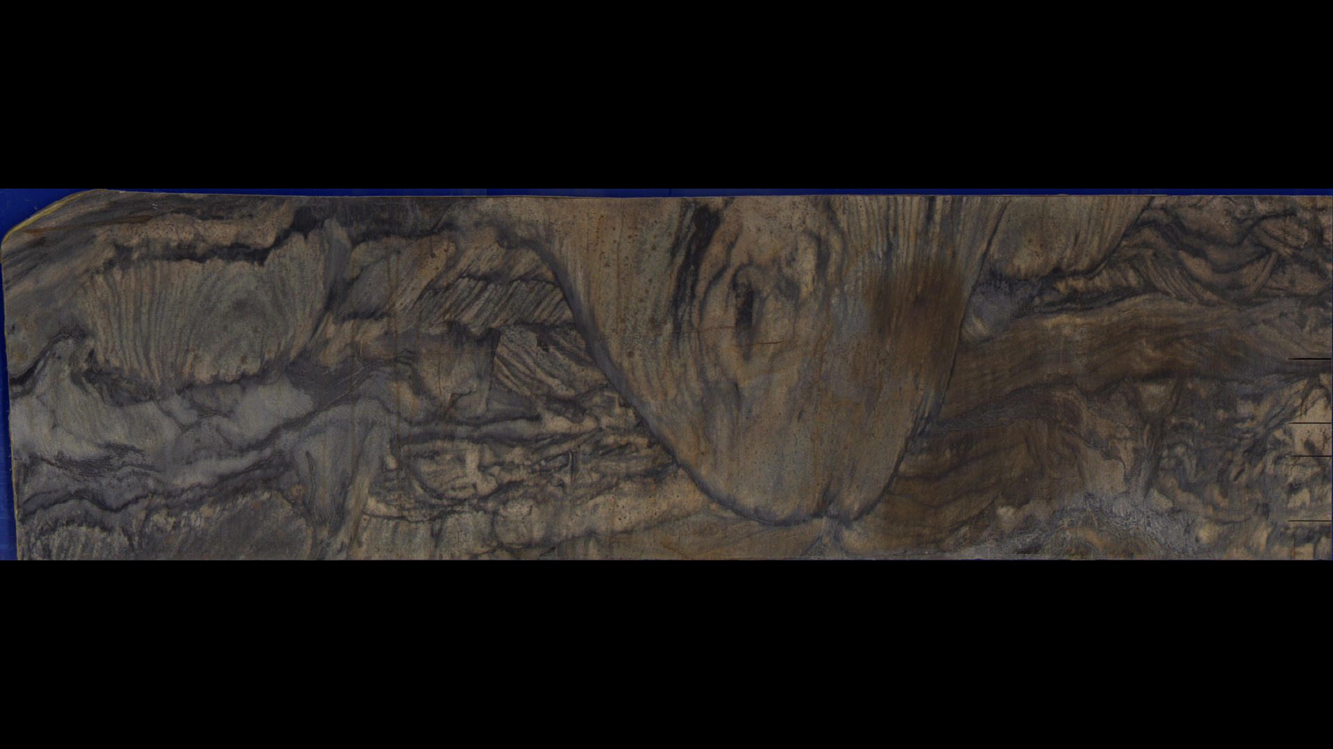 SANDALUS Quartzite Slabs