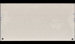 CARRARA BIANCO Quartz