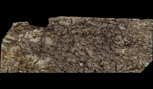 WHITE TIGER Granite