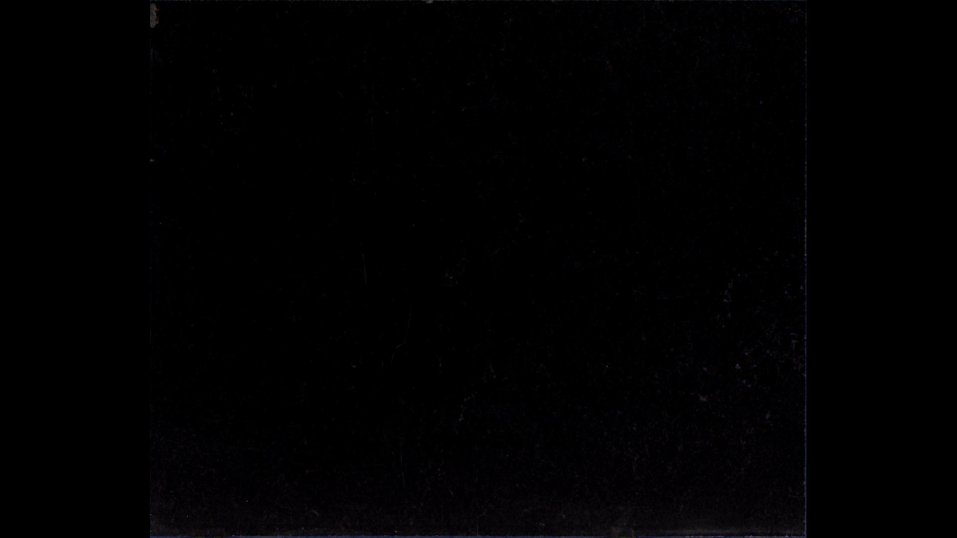 BLACK PEARL Granite Slabs