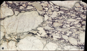 CALACATTA VIOLA Marble
