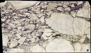 CALACATTA VIOLA Marble
