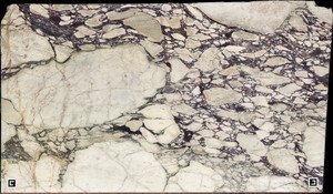 CALACATTA VIOLA Marble
