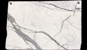 STATUARIO SUPER EXTRA Marble