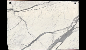 STATUARIO SUPER EXTRA Marble