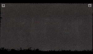 ABSOLUTE BLACK FLAMED Granite