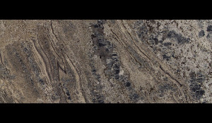 ENCHANTED FOREST Granite