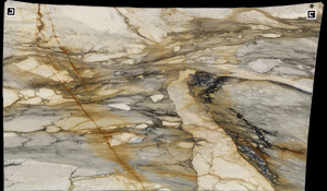 CALACATTA MACCHIA VECCHIA Marble