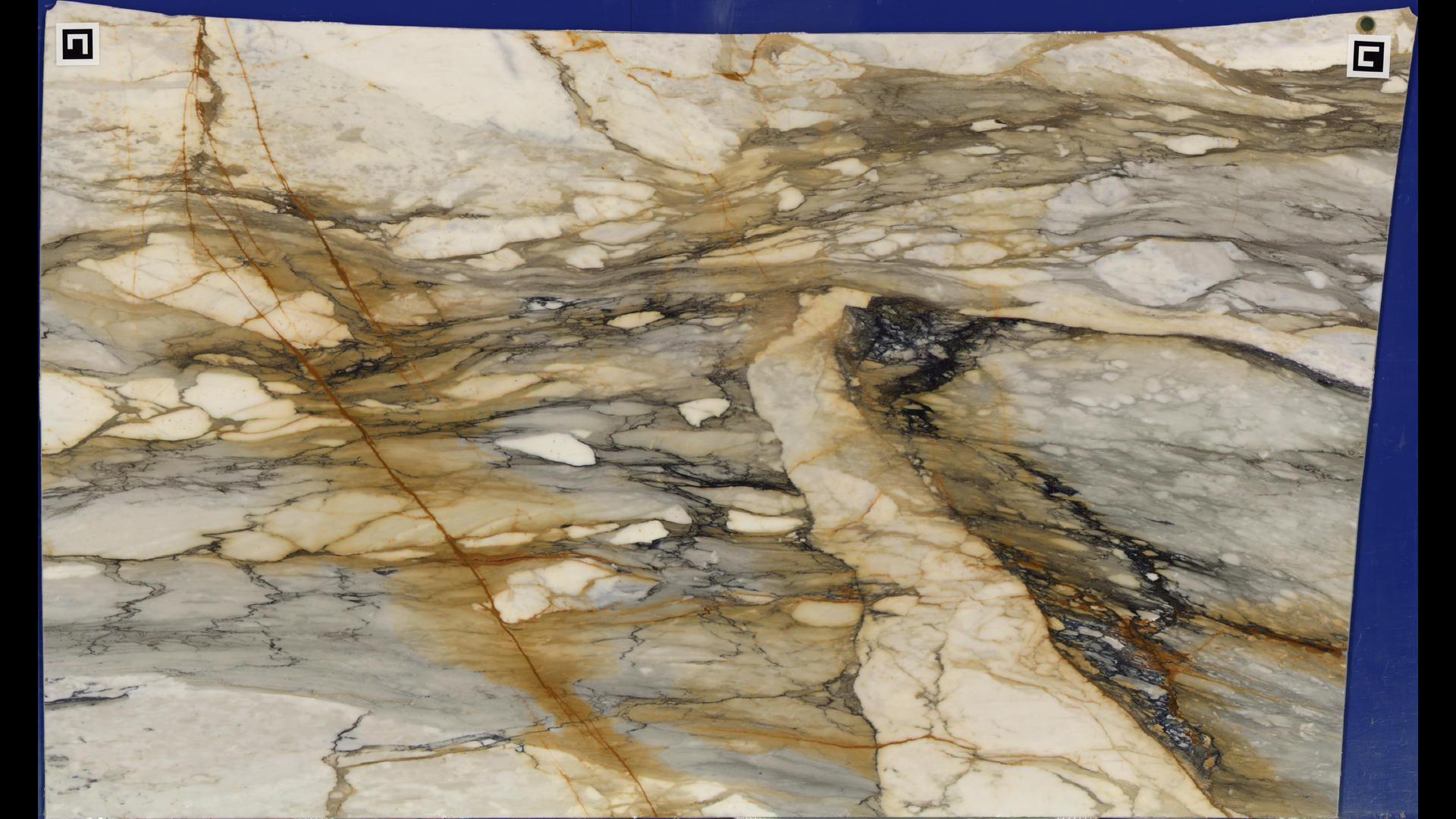 CALACATTA MACCHIA VECCHIA Marble Slabs