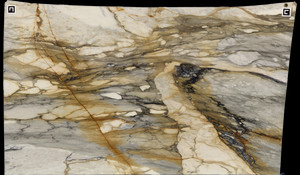 CALACATTA MACCHIA VECCHIA Marble