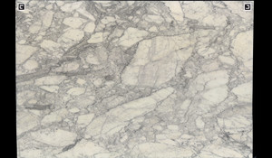 ARABESCATO CERVAIOLE Marble