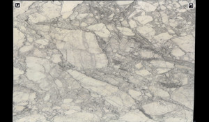 ARABESCATO CERVAIOLE Marble