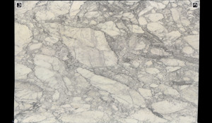 ARABESCATO CERVAIOLE Marble