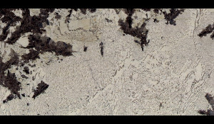 SPLENDOR WHITE Granite