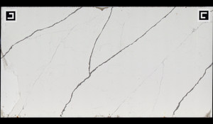 COVENTRY GRAY Quartz