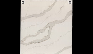 DALTILE ONE QUARTZ CALACATTA AURORA Quartz