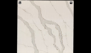 DALTILE ONE QUARTZ CALACATTA AURORA Quartz