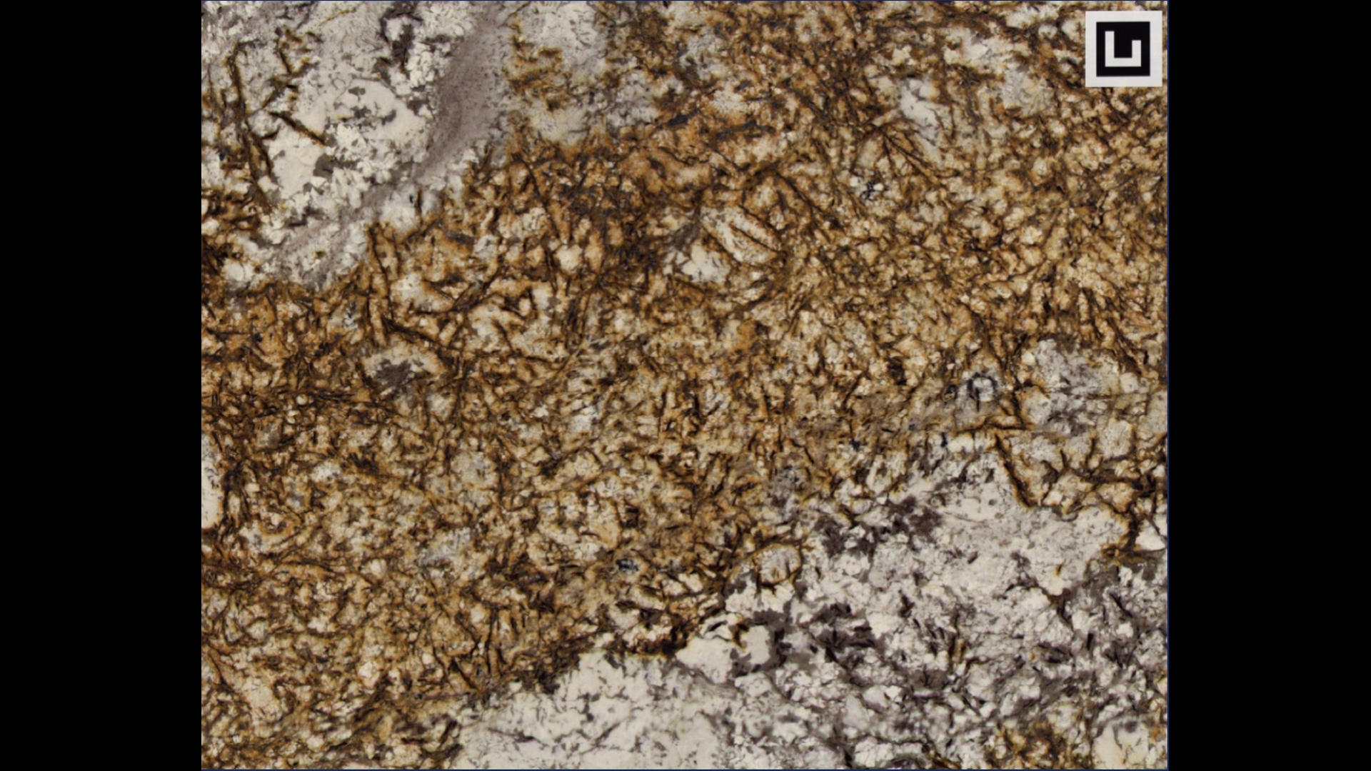 NORMANDY Granite Slabs