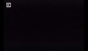 ABSOLUTE BLACK Granite