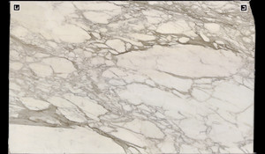 CALACATTA BORGHINI Marble