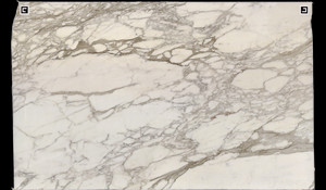 CALACATTA BORGHINI Marble