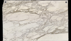 CALACATTA BORGHINI Marble