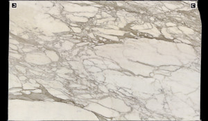 CALACATTA BORGHINI Marble