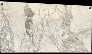 CALACATTA VENATO VAGLI Marble