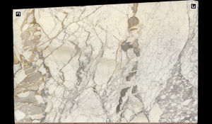 CALACATTA VENATO VAGLI Marble