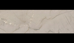 BIANCO SUPERIORE HONED Quartzite