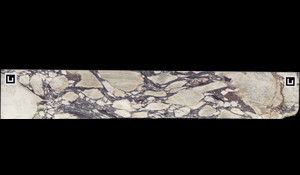 CALACATTA VIOLA Marble