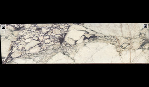CALACATTA VIOLA Marble