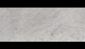 WHITE CARRARA P/H Marble
