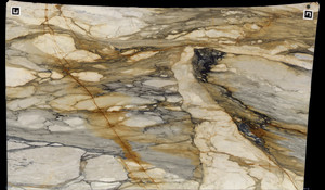 CALACATTA MACCHIA VECCHIA Marble