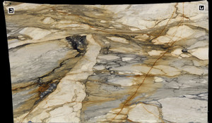 CALACATTA MACCHIA VECCHIA Marble
