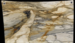 CALACATTA MACCHIA VECCHIA Marble