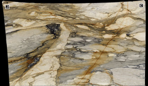 CALACATTA MACCHIA VECCHIA Marble
