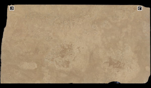 TRAVERTINE ROMANO HONED Travertine