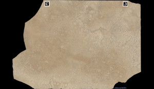 TRAVERTINE ROMANO HONED Travertine