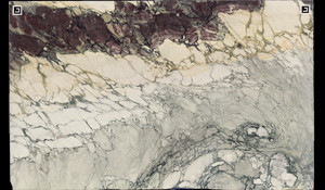 BRECCIA CAPRAIA Marble