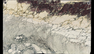 BRECCIA CAPRAIA Marble