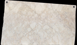 BIANCO RHINO Marble