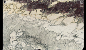 BRECCIA CAPRAIA Marble
