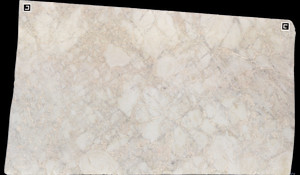 BIANCO RHINO Marble